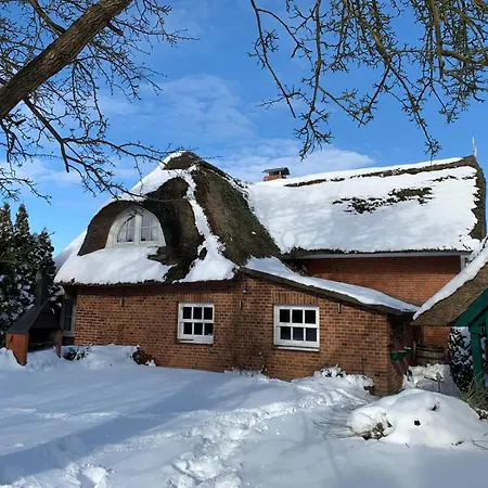 1100 - Reetdachhaus In Grube