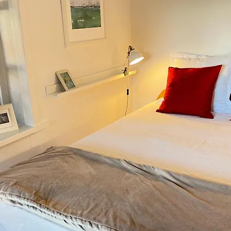 Σπίτι διακοπών 1100 - Reetdachhaus In *