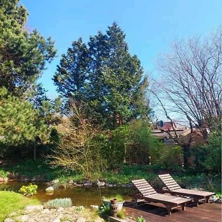 Holiday home 1100 - Reetdachhaus In Grube