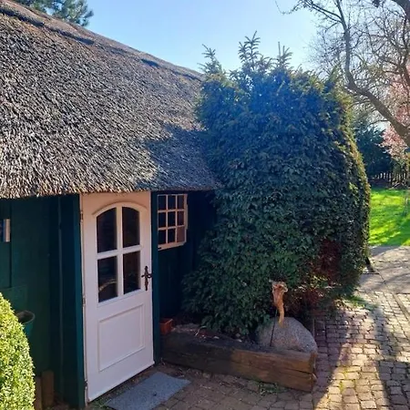 Holiday home 1100 - Reetdachhaus In