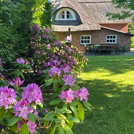 1100 - Reetdachhaus In *