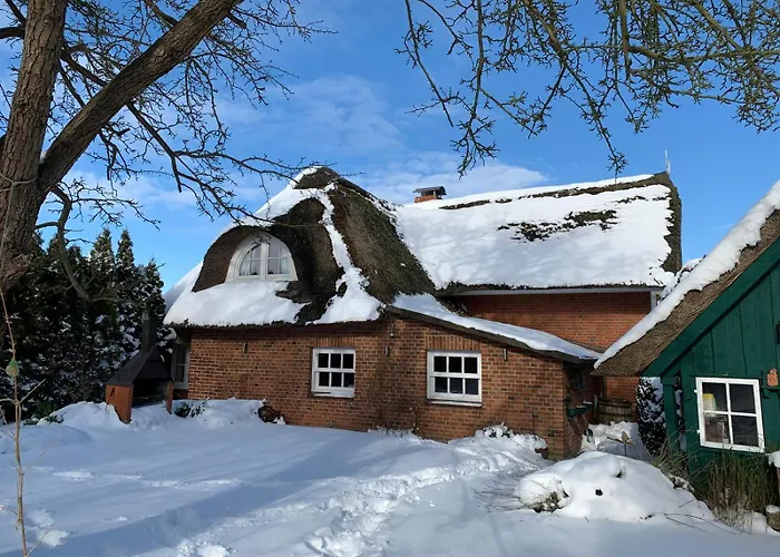 1100 - Reetdachhaus In Grube
