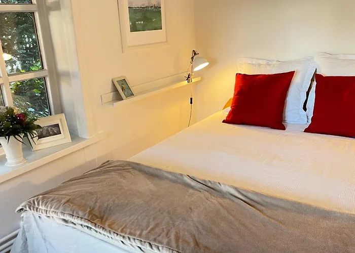 Prázdninový dům 1100 - Reetdachhaus In *