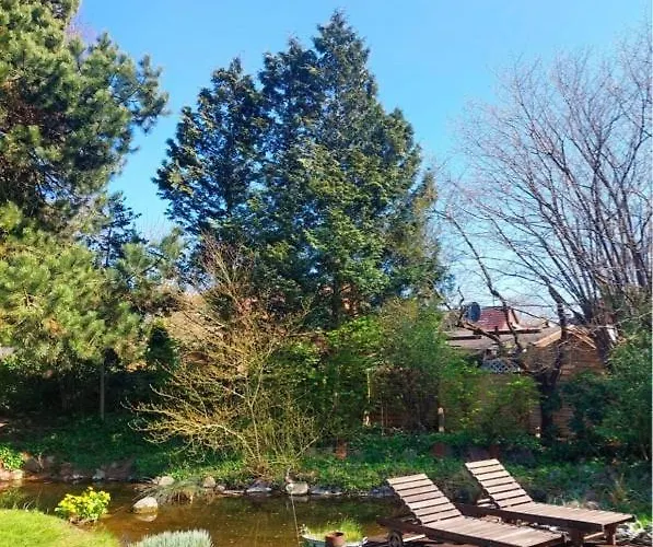 Prázdninový dům 1100 - Reetdachhaus In Grube
