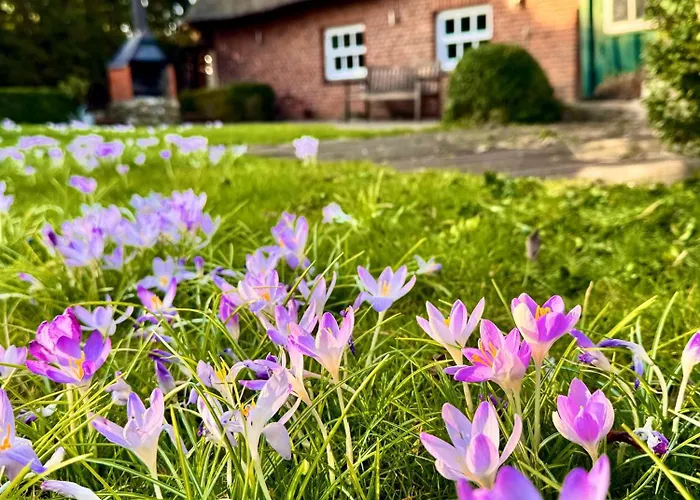 Prázdninový dům 1100 - Reetdachhaus In Grube
